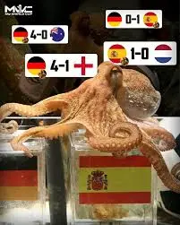 Bạch tuộc Paul: Giai thoại bất diệt về World Cup 2010